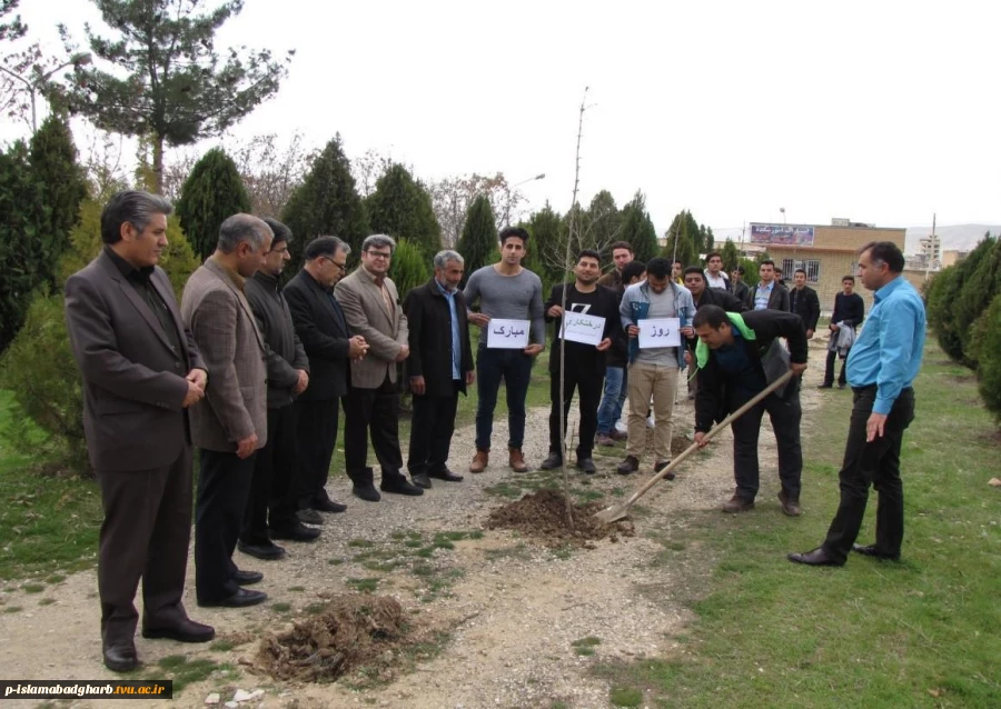 درراستای سفارشات دینی وتاکیدات مسئولین محترم دانشگاه فنی وحرفه ای به تعدادزیادی نهال جهت تحقق شعار"هردانشجویک درخت"باحضورریاست ،اساتید،ودانشجویان درمحوطه مرکزکاشت شد. آموزشکده فنی پسران اسلام آبادغرب