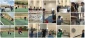 برگزاری مسابقات ورزشی به مناسبت هفته سراهای دانشجویی